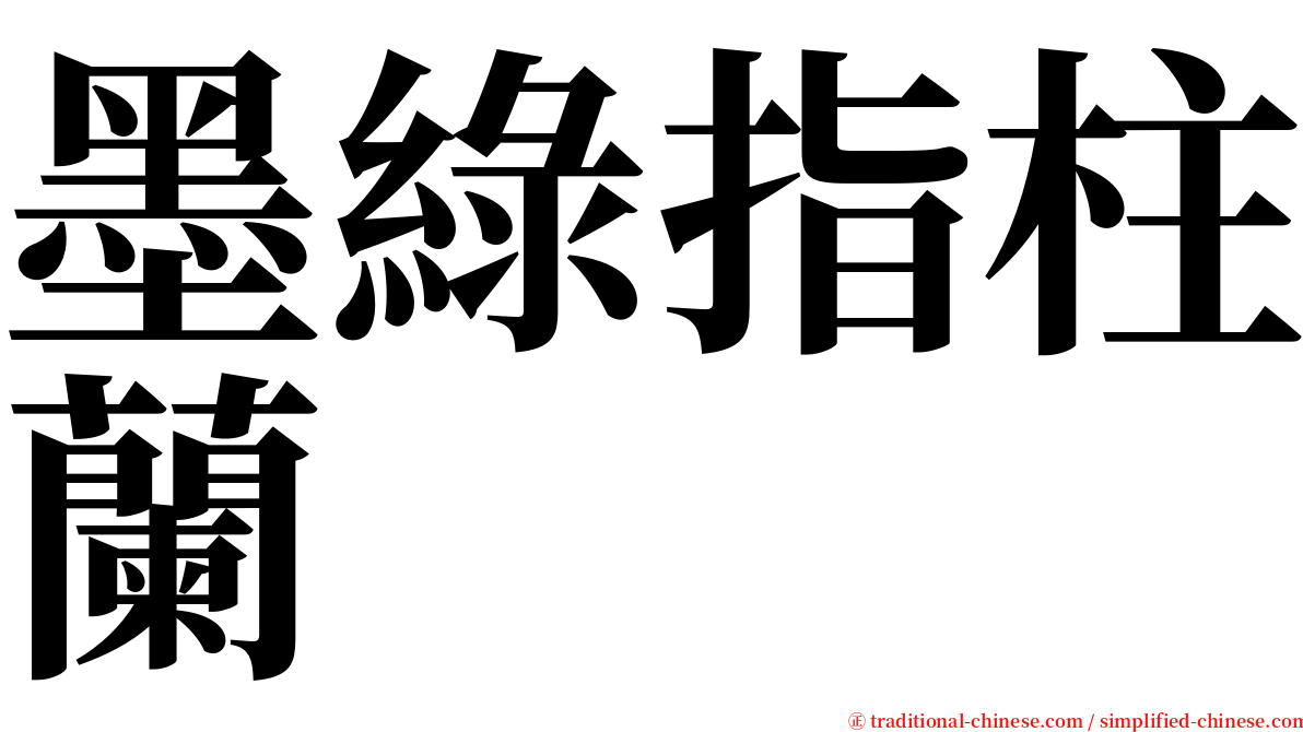 墨綠指柱蘭 serif font