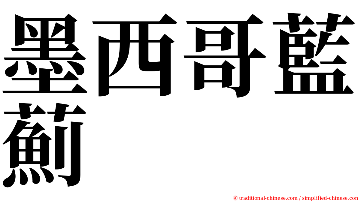 墨西哥藍薊 serif font