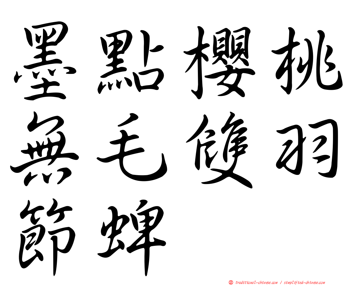 墨點櫻桃無毛雙羽節蜱