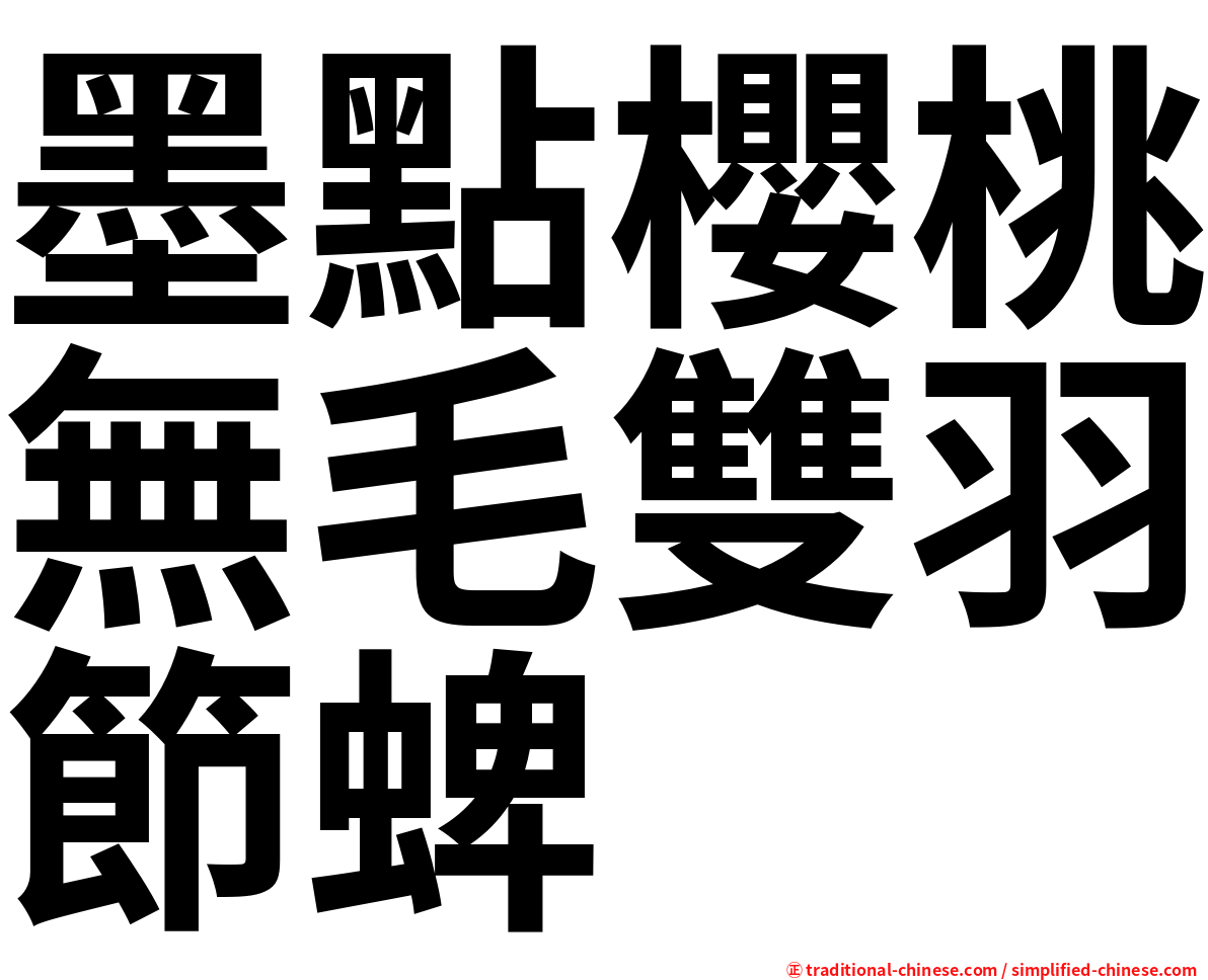 墨點櫻桃無毛雙羽節蜱