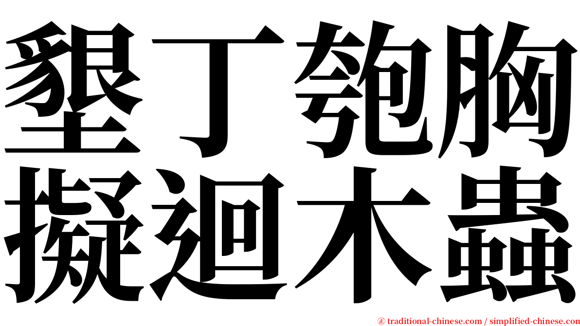 墾丁匏胸擬迴木蟲 serif font