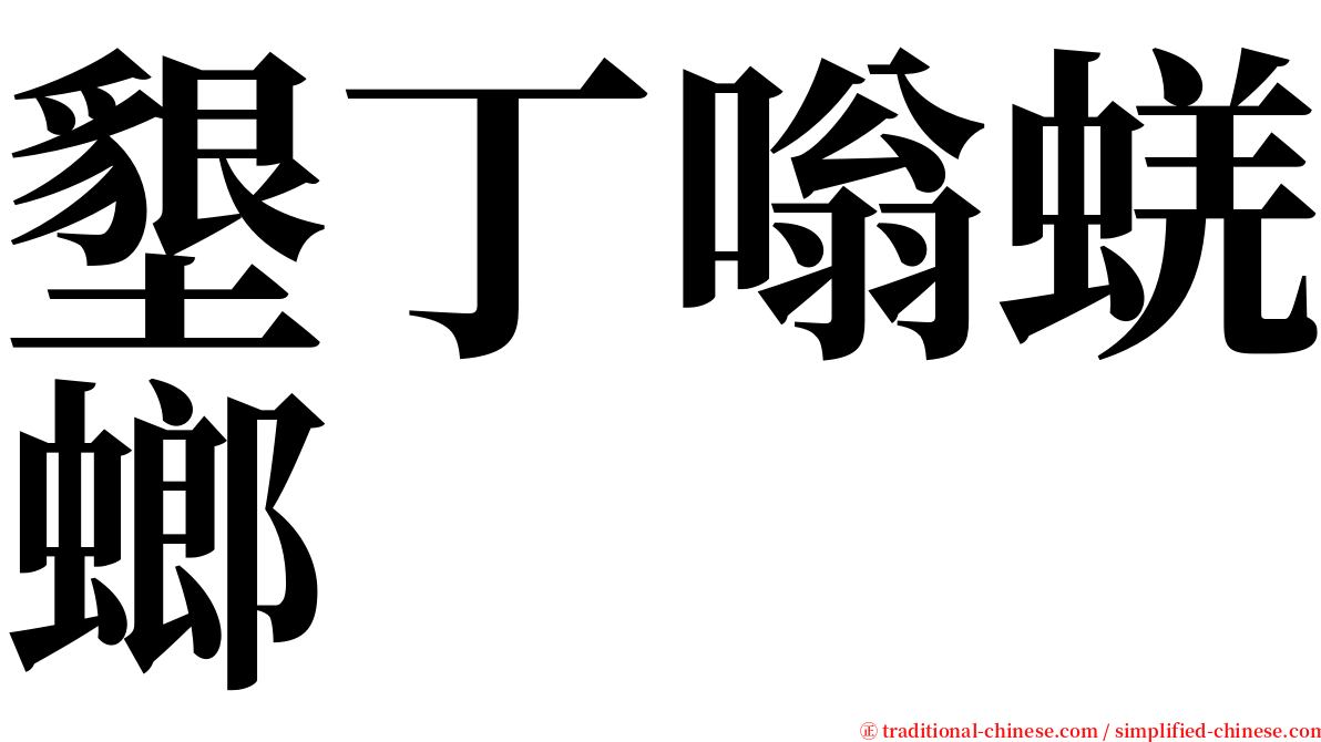 墾丁嗡蜣螂 serif font