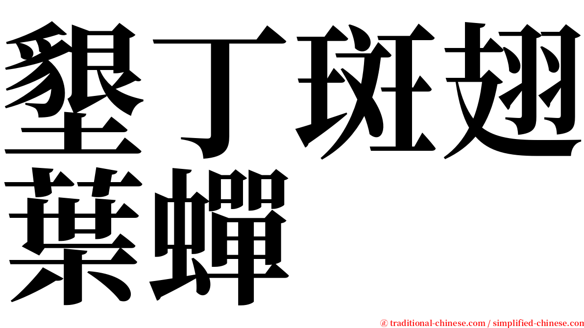 墾丁斑翅葉蟬 serif font