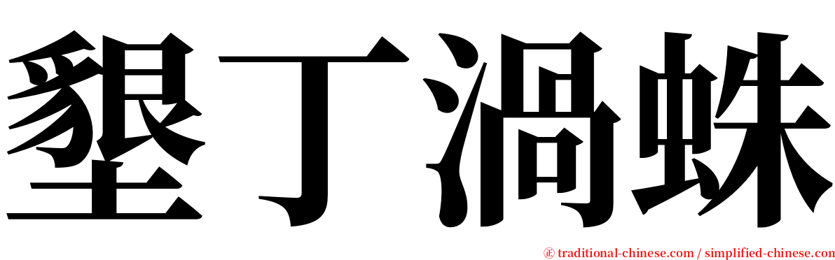 墾丁渦蛛 serif font