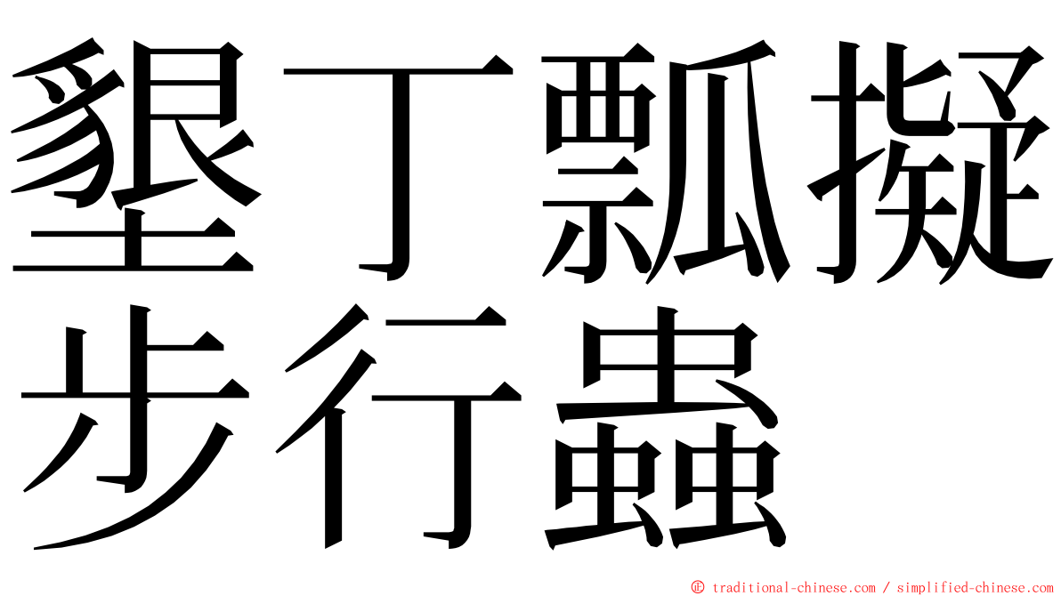 墾丁瓢擬步行蟲 ming font