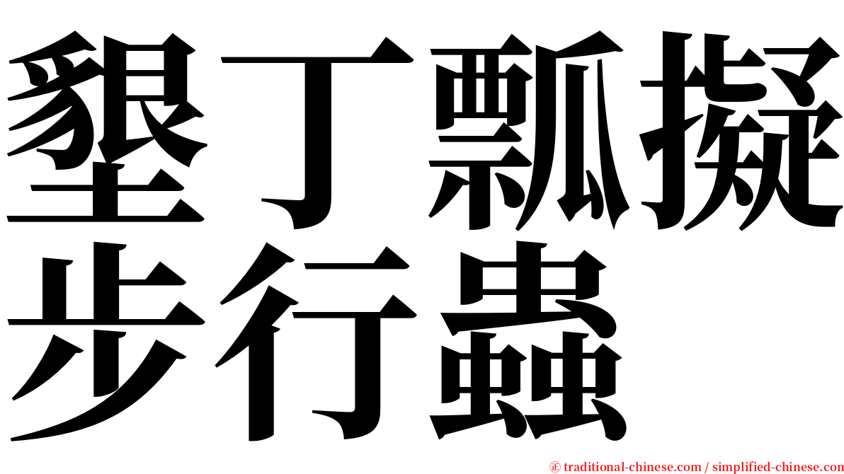 墾丁瓢擬步行蟲 serif font