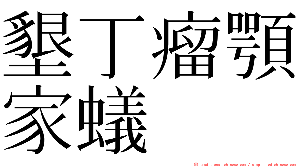 墾丁瘤顎家蟻 ming font