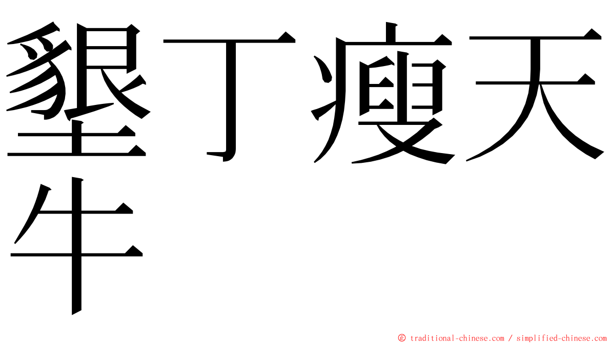 墾丁瘦天牛 ming font