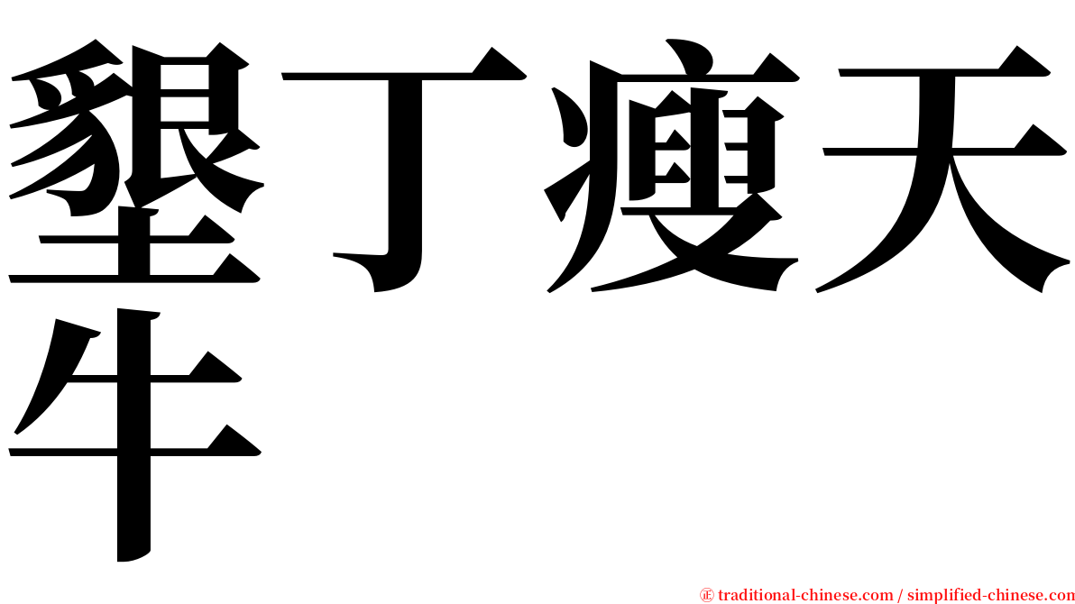 墾丁瘦天牛 serif font