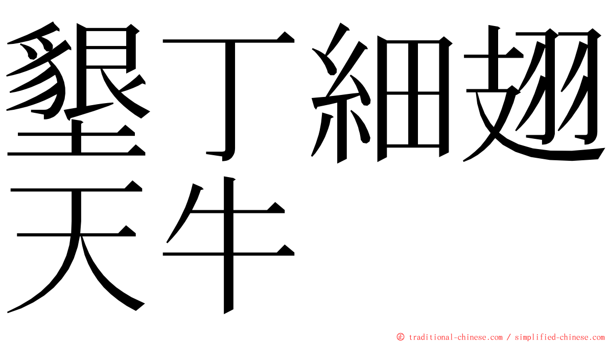 墾丁細翅天牛 ming font