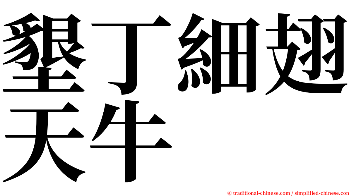 墾丁細翅天牛 serif font