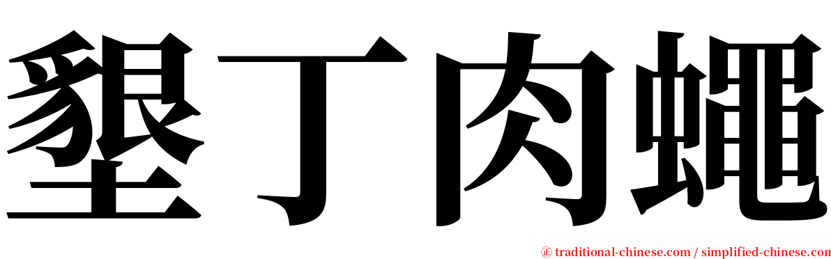 墾丁肉蠅 serif font