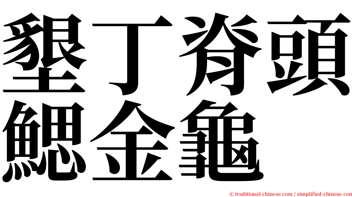 墾丁脊頭鰓金龜 serif font