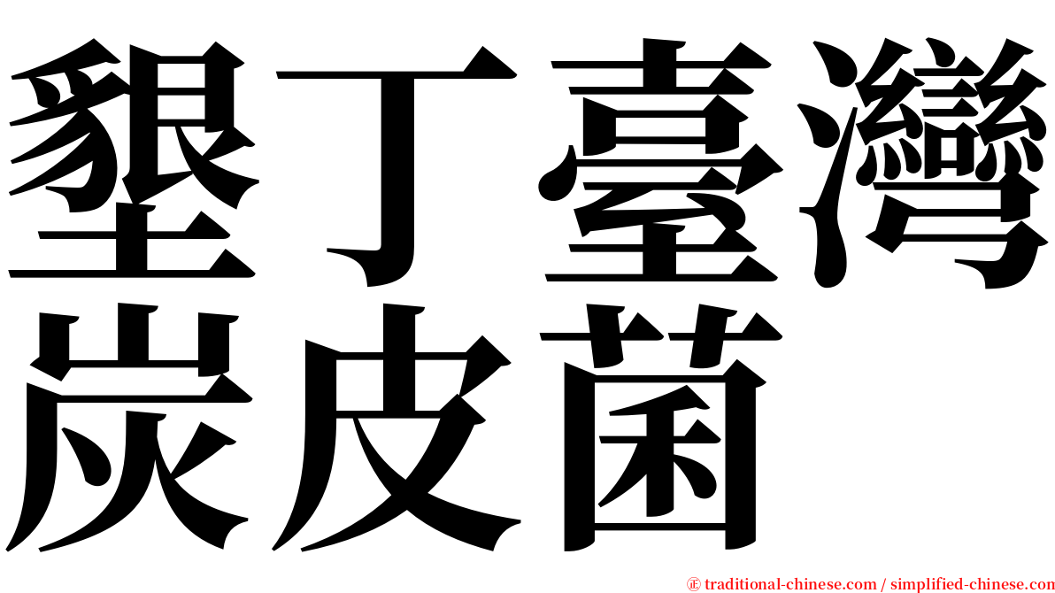 墾丁臺灣炭皮菌 serif font