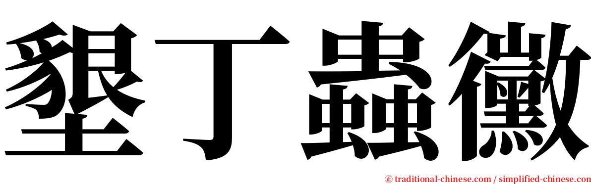 墾丁蟲黴 serif font