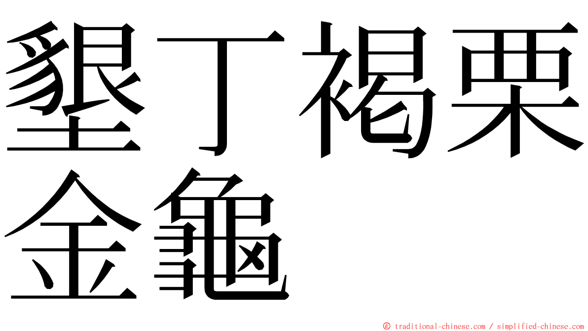 墾丁褐栗金龜 ming font