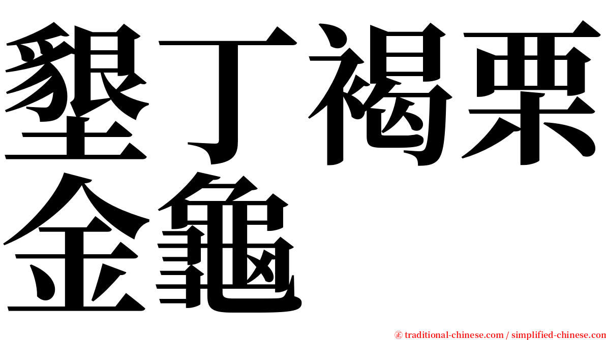 墾丁褐栗金龜 serif font