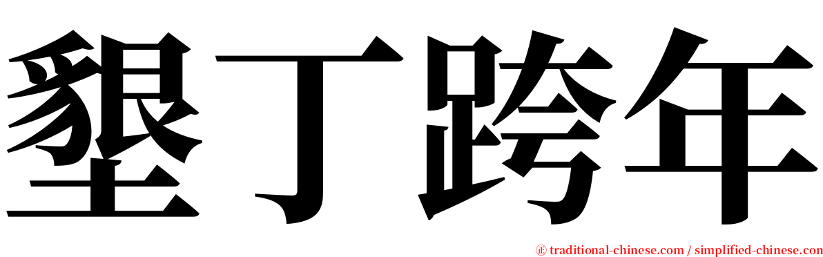 墾丁跨年 serif font