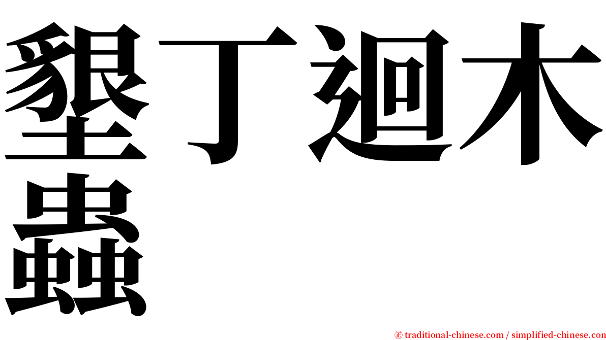 墾丁迴木蟲 serif font