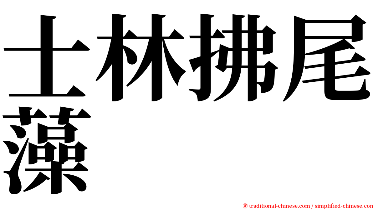 士林拂尾藻 serif font