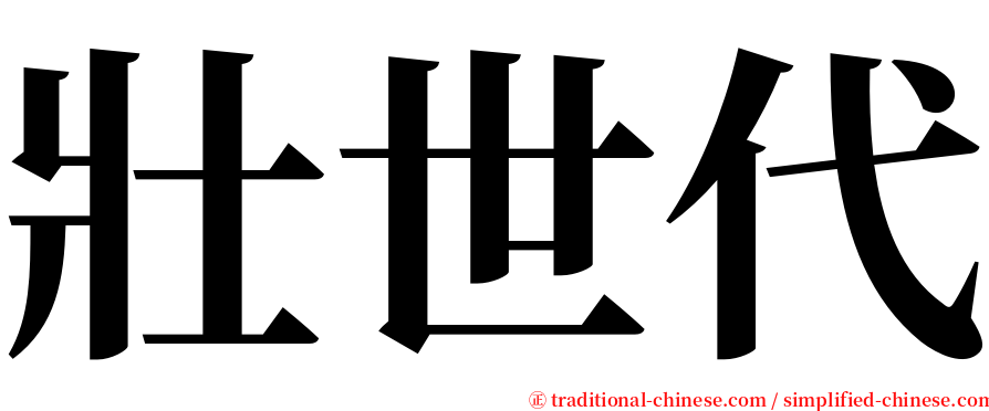 壯世代 serif font