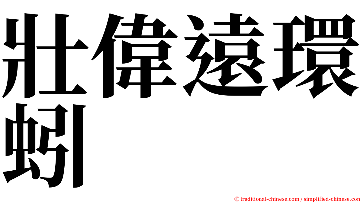 壯偉遠環蚓 serif font