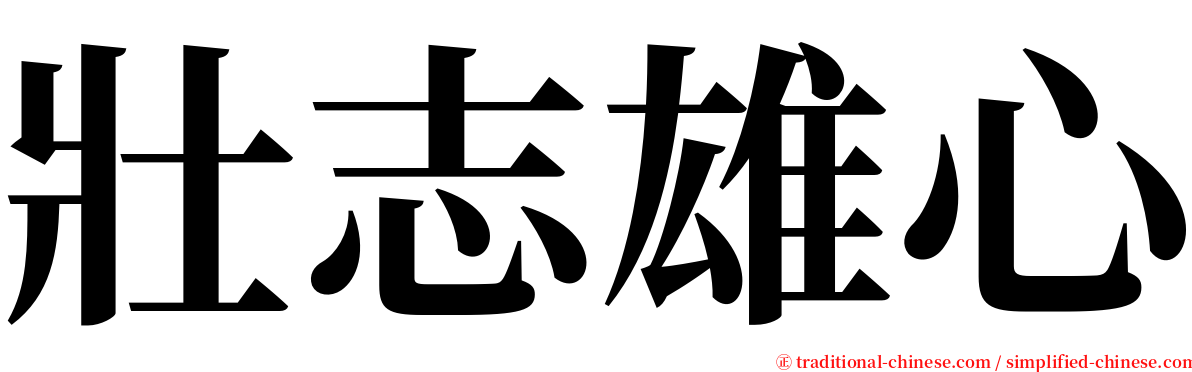 壯志雄心 serif font