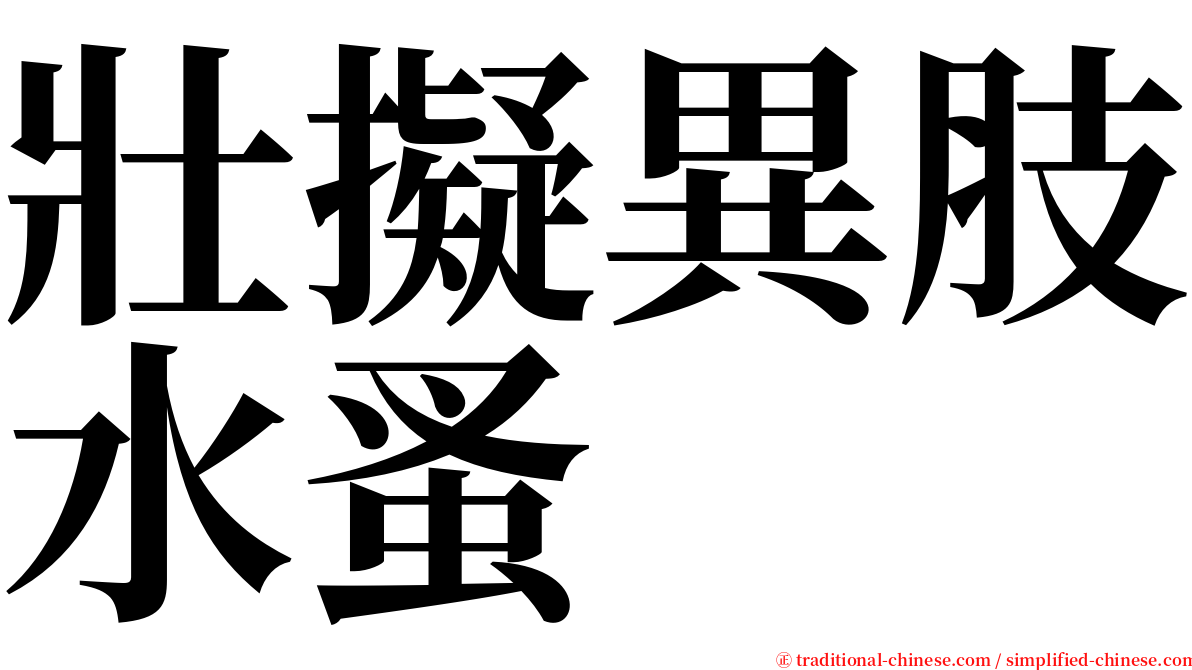 壯擬異肢水蚤 serif font