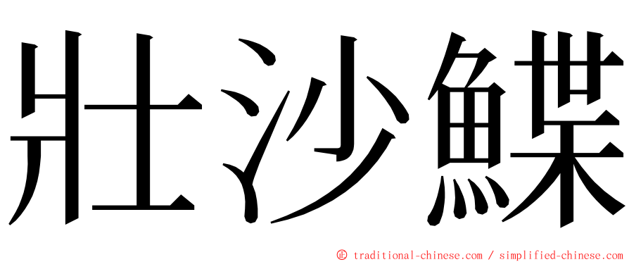 壯沙鰈 ming font