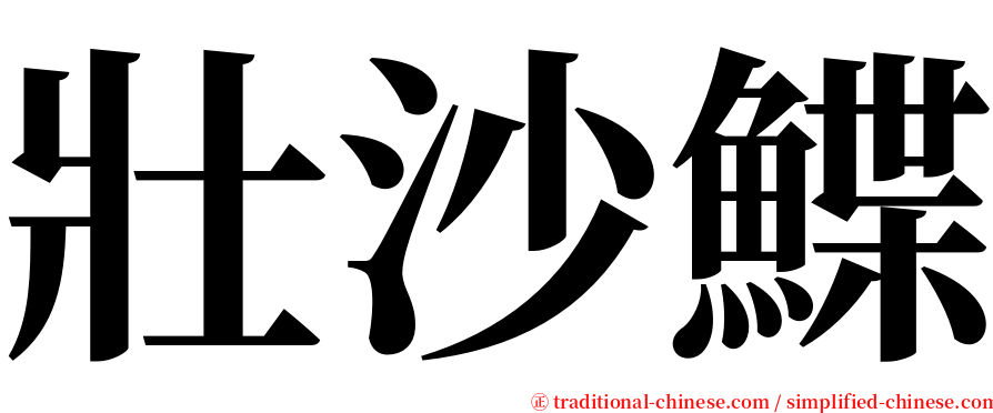 壯沙鰈 serif font