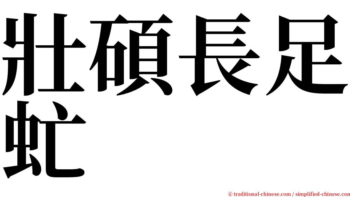 壯碩長足虻 serif font