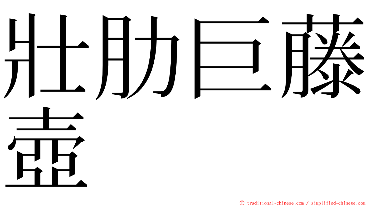 壯肋巨藤壺 ming font