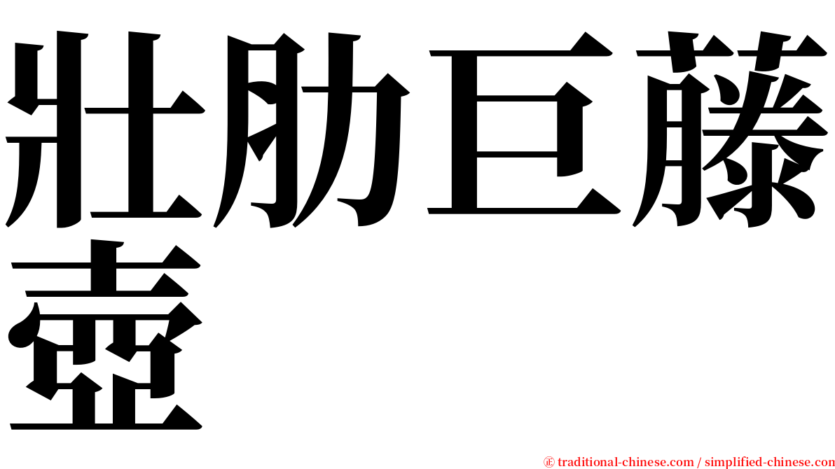 壯肋巨藤壺 serif font