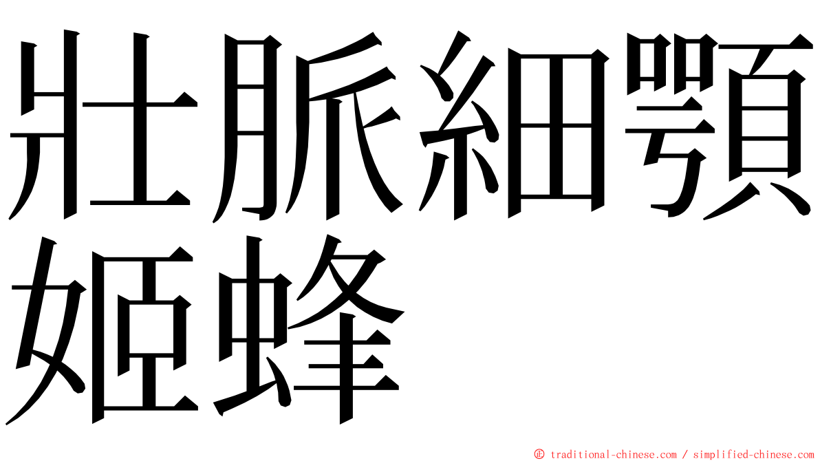 壯脈細顎姬蜂 ming font