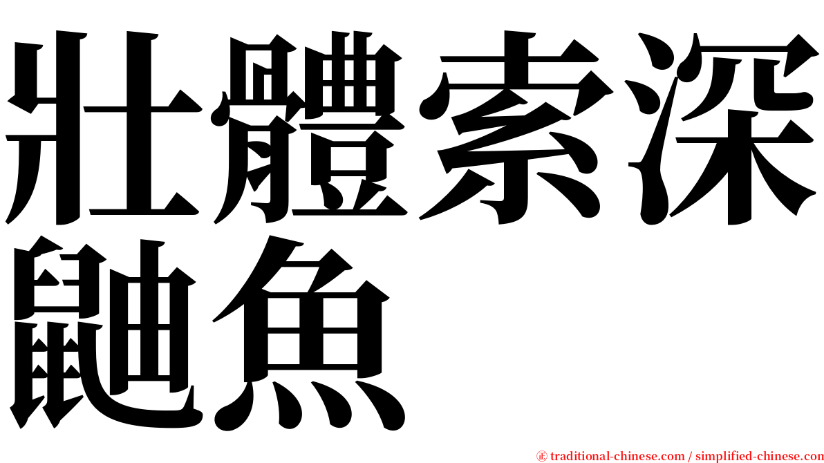 壯體索深鼬魚 serif font