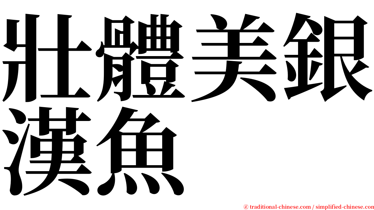 壯體美銀漢魚 serif font