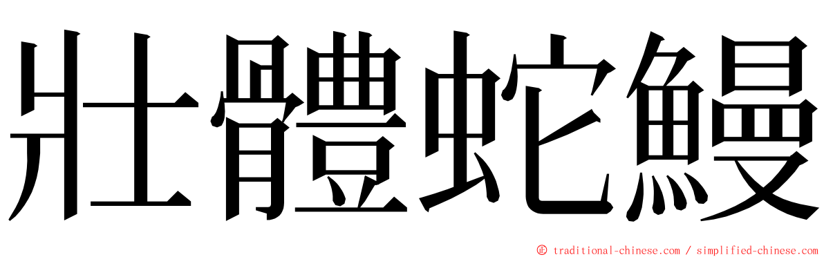 壯體蛇鰻 ming font