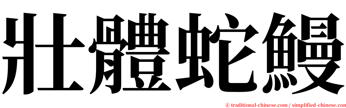 壯體蛇鰻 serif font