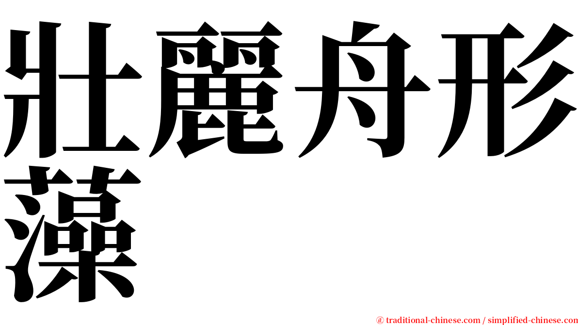 壯麗舟形藻 serif font