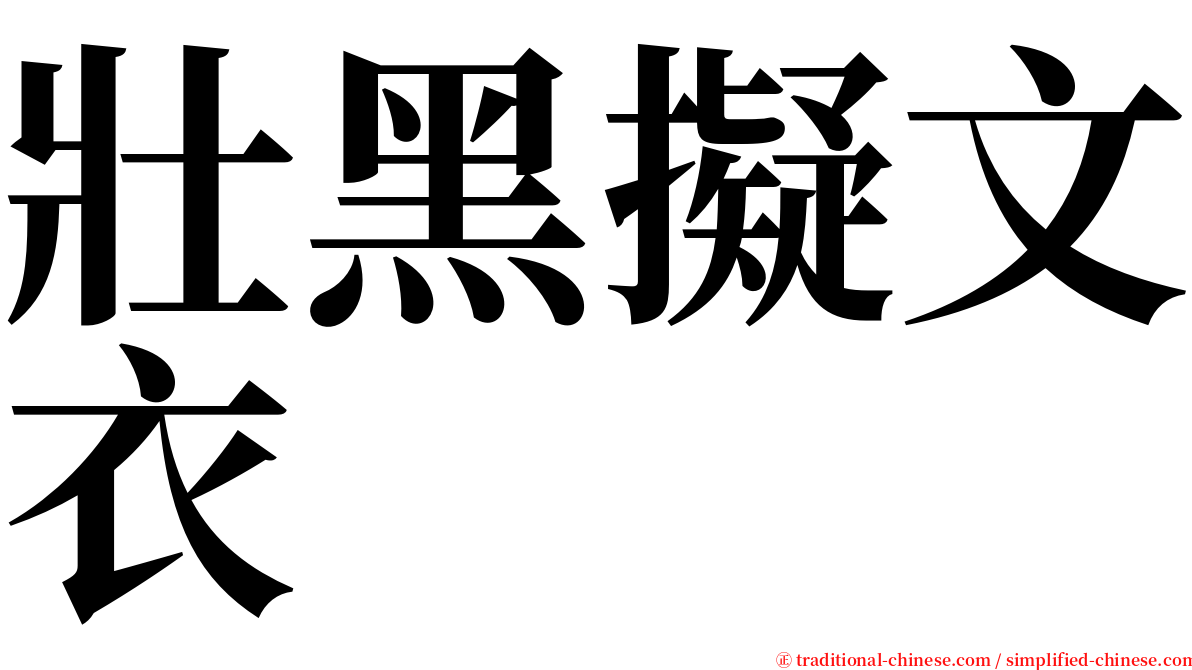 壯黑擬文衣 serif font