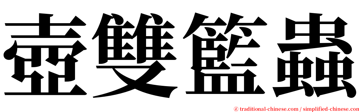 壺雙籃蟲 serif font