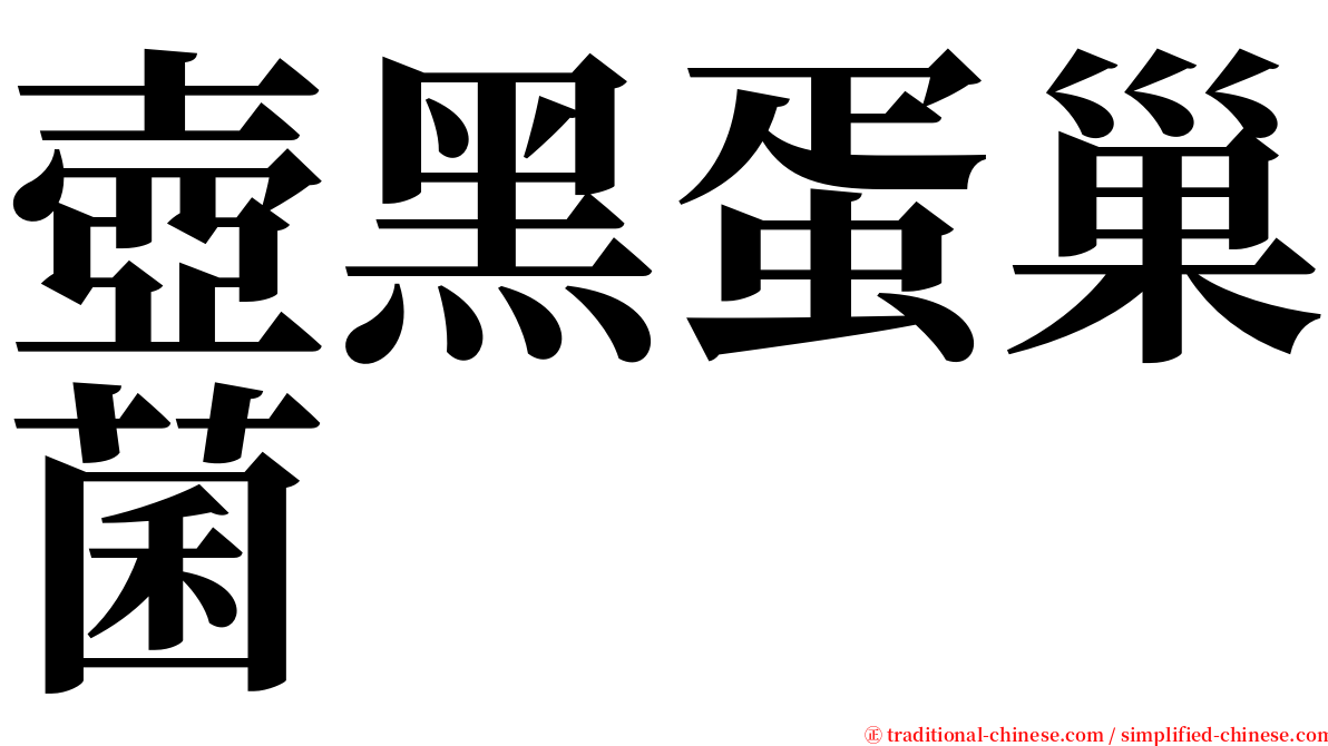 壺黑蛋巢菌 serif font