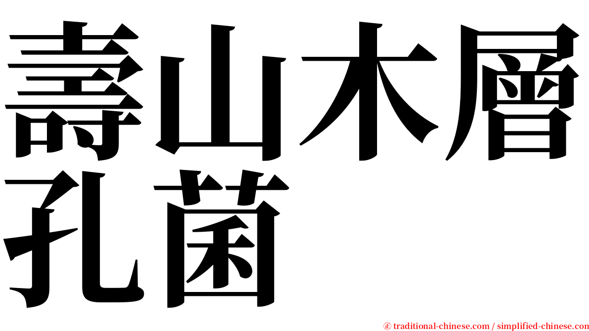 壽山木層孔菌 serif font