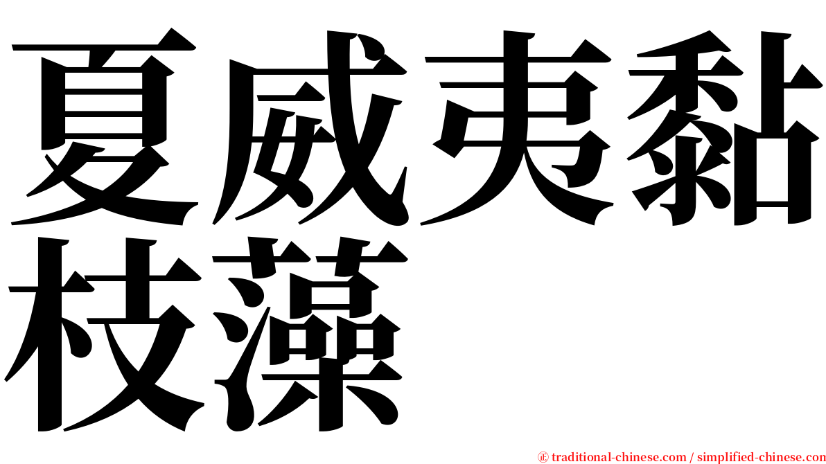 夏威夷黏枝藻 serif font