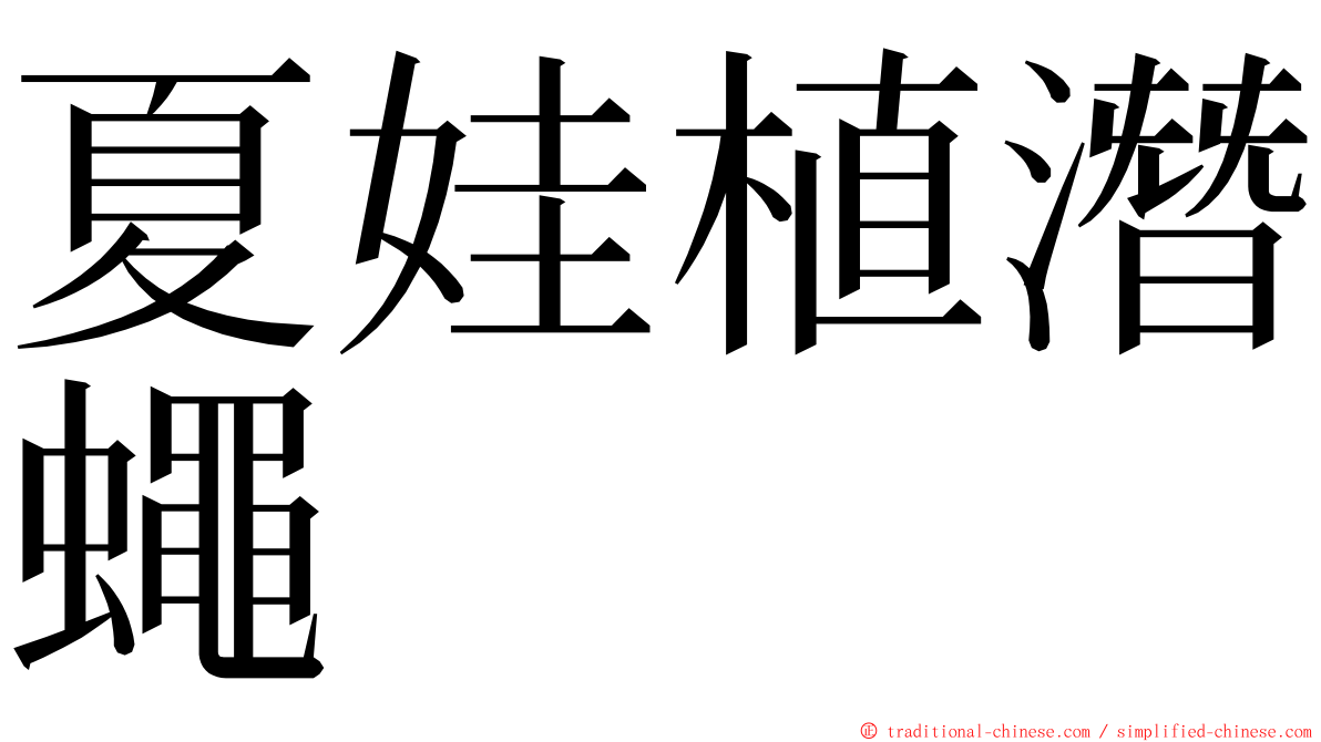 夏娃植潛蠅 ming font