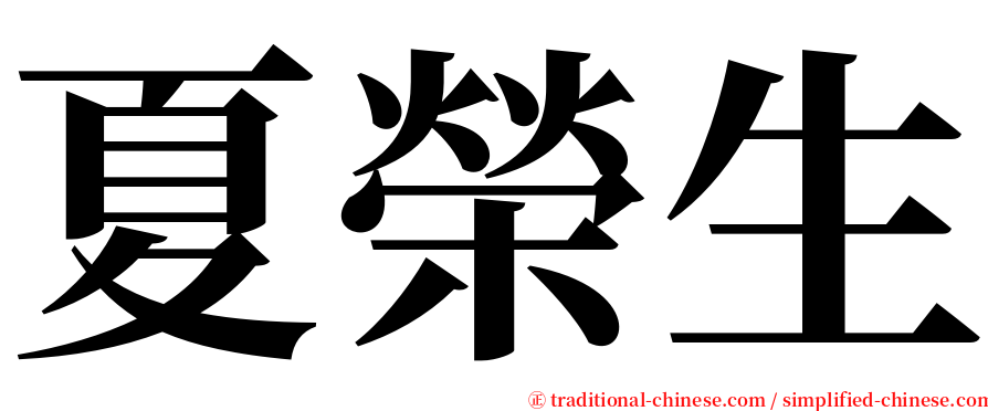 夏榮生 serif font