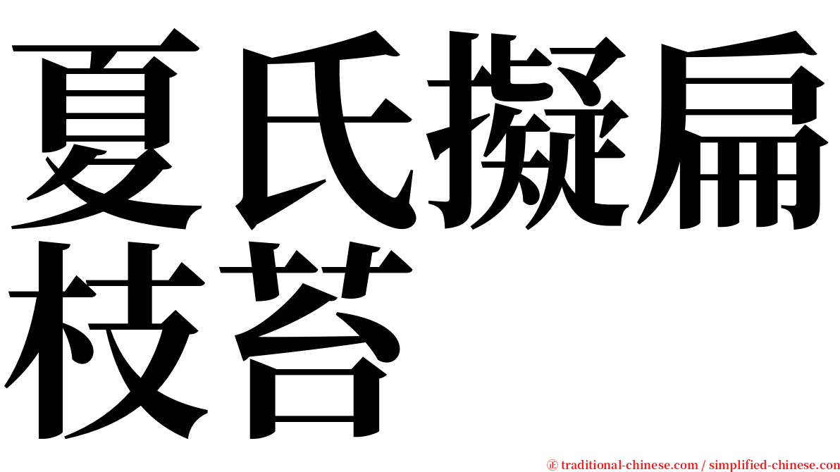 夏氏擬扁枝苔 serif font