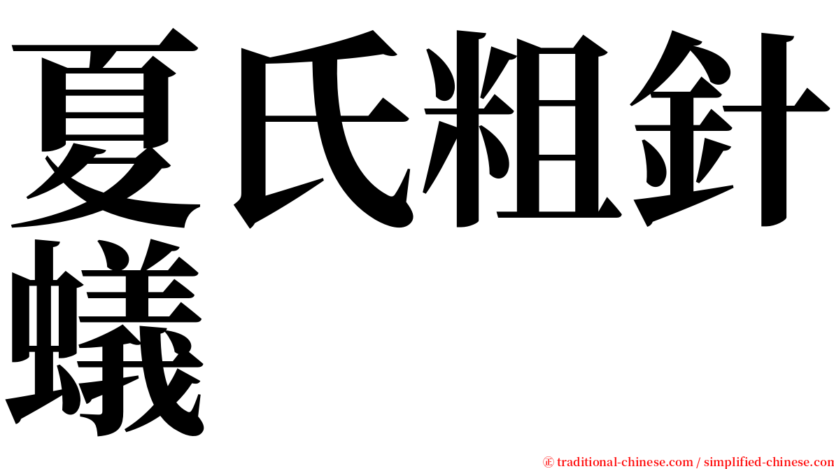 夏氏粗針蟻 serif font