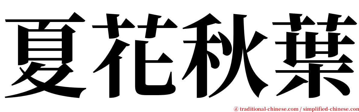 夏花秋葉 serif font