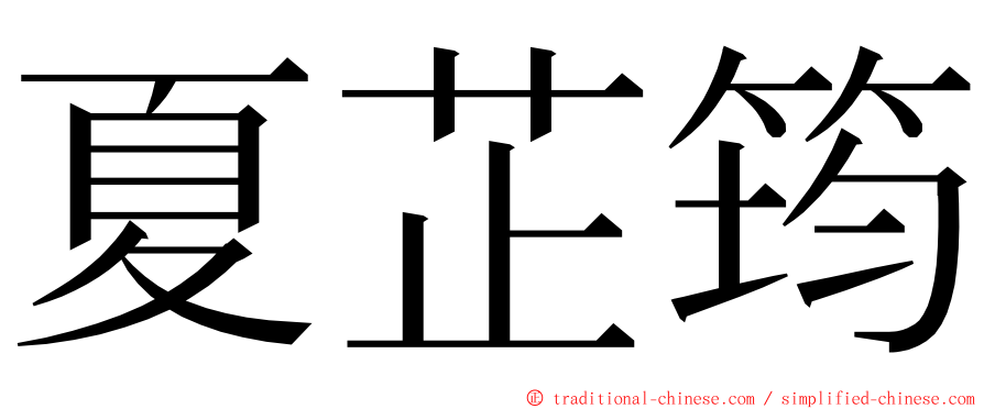 夏芷筠 ming font